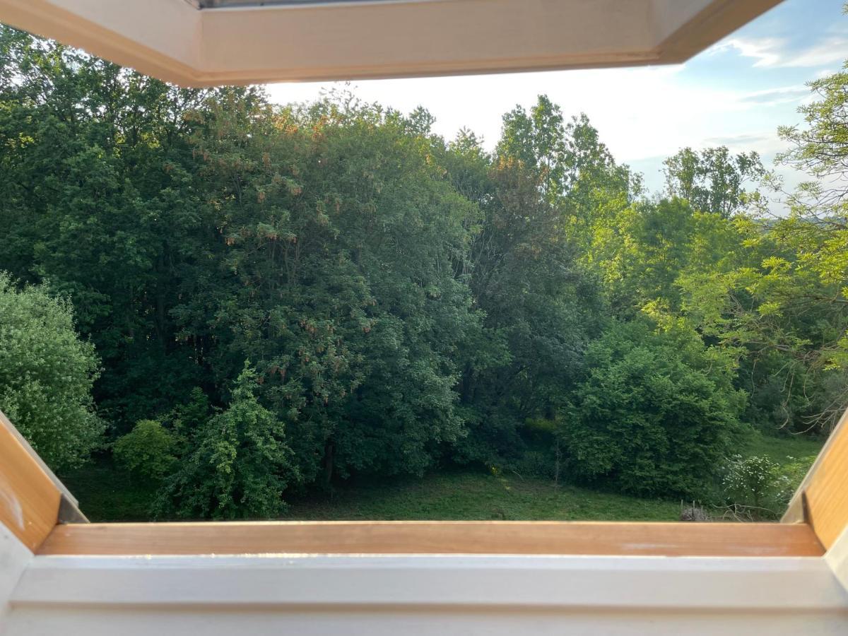 La Canopee Des Arbres, Juliette Ellezelles Экстерьер фото