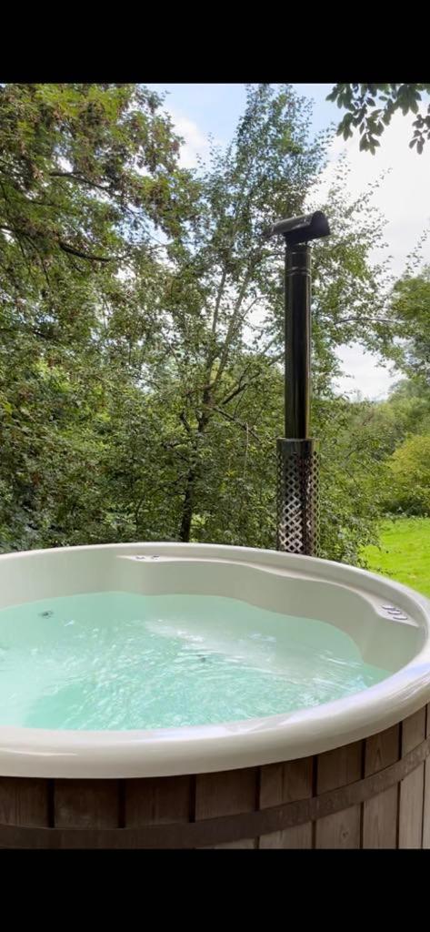 La Canopee Des Arbres, Juliette Ellezelles Экстерьер фото